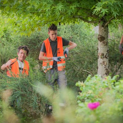 TP taille avec les formations adultes