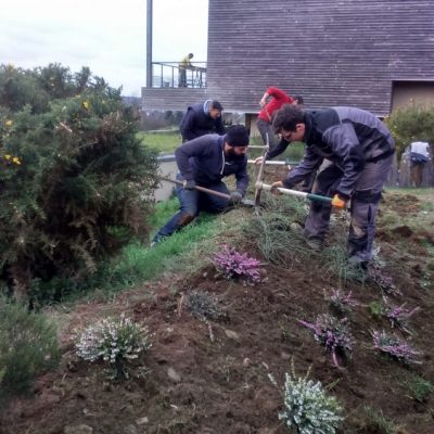 TP plantation - Hôtel La Grée des landes