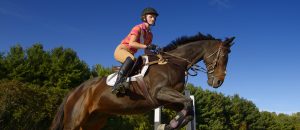 Young female rider jumping an oxer hurdle on a bay thoroughbred gelding horse in a training ring
