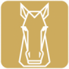 Picto-equin
