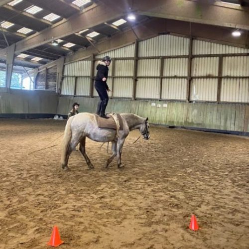 EPI Equitation