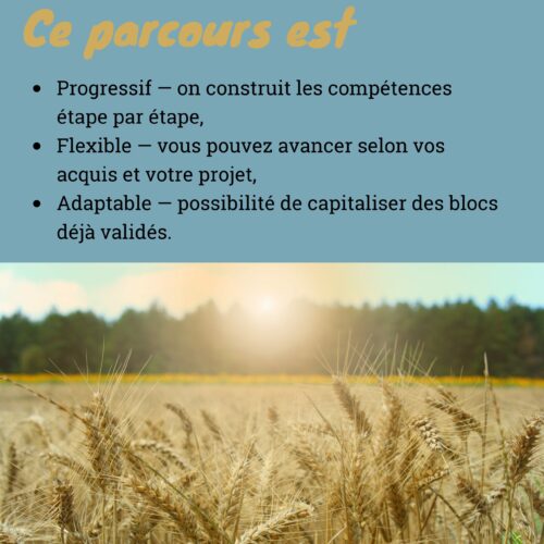 titre pro_plus_du_parcours