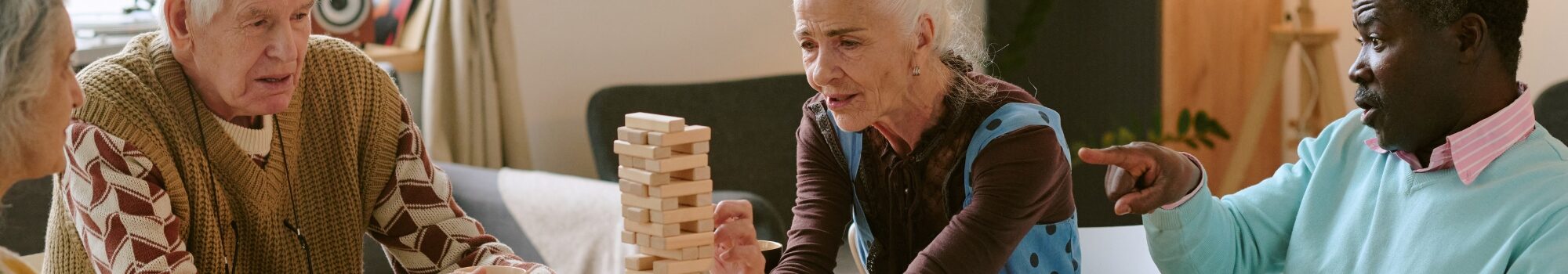 titre_pro_aeg_bannière_page